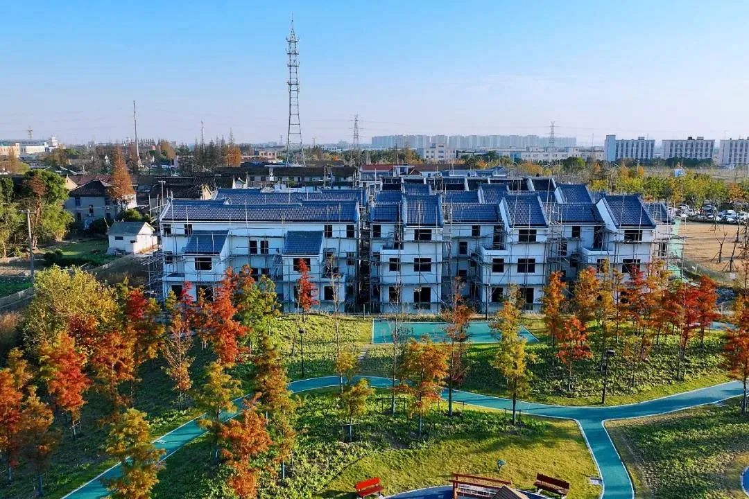 涵盖养老医疗卫生人居环境来看外冈镇2022年实事项目