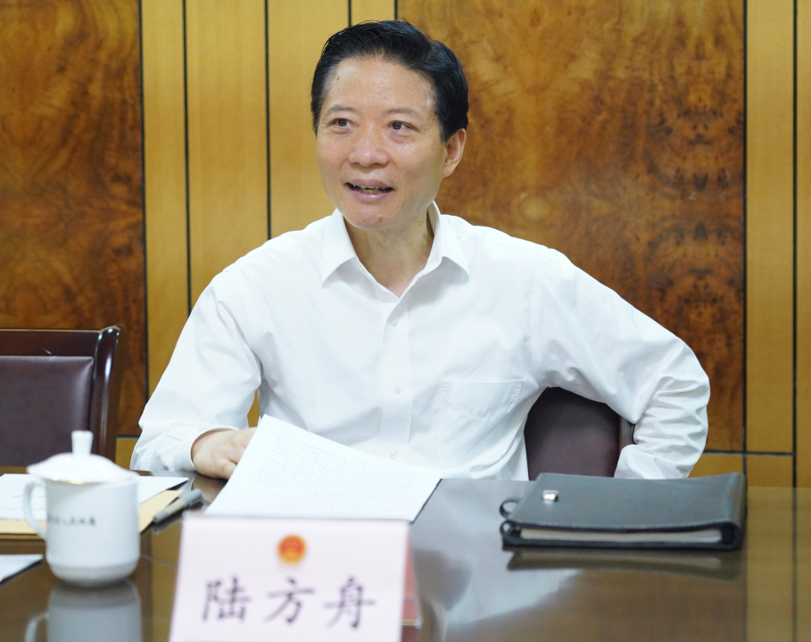 陆方舟参加代表分组评议:持之以恒努力打造拥有美好未来的嘉定新城