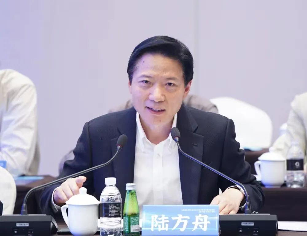 什么是硬的营商环境和真正的招商引资？嘉定区委书记陆方舟这么说