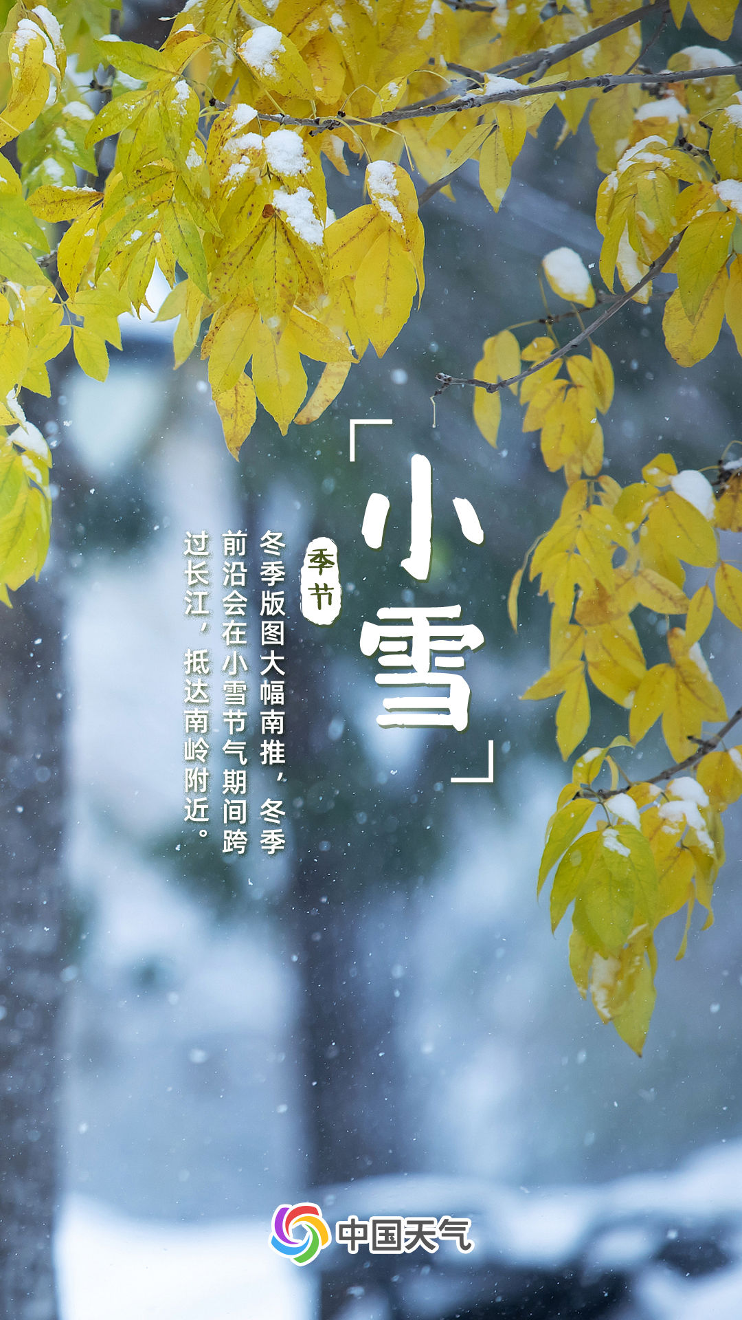 小雪节气全国初雪地图出炉 看哪里能围炉煮茶夜静听雪