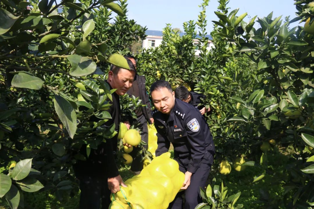 铜仁万山公安精耕田间警务奏响乡村振兴和谐曲