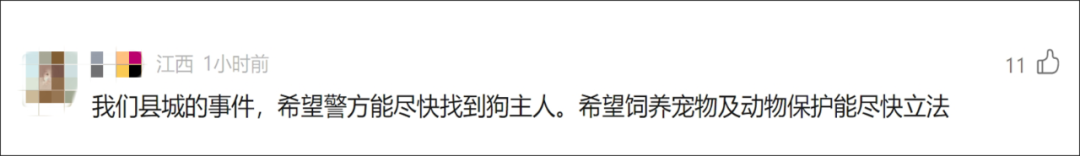 看丹觀察丨8歲男童被狗咬縫了90多針幾乎毀容網友喊話狗主人快出來